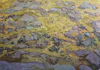 JULIA MITCHELL - Pathways - oil on canvas - 70 x 100 cm -€700