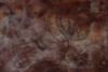 KEITH PAYNE ~ Bear Traps - dye & charcoal on canvas - 85 x 120 cm - €650