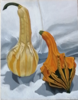 KYM LEAHY - Autumn Gourd II - acrylic on board - 24 x 18 cm - €280