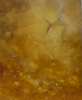 NONA PETTERSEN ~ Icarus - oil on gesso panel - 61 x 45 cm