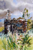PATRICIA CARR ~ Small Ruin with Blackthorn - watercolour, pen & ink - 62 x 54 cm - €500