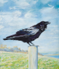 PETER WOLSTENHOLME - Woodpoint Raven on Guard - oil on canvas on board - 35.5 x 30 cm - €750