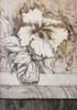 VERONICA EVANS - Hibiscus Flower - pencil on paper - 43 x 34 cm - €360