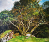 VERONICA EVANS - Old Hazel Tree - oil on board - 46 x 49 cm - €900