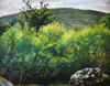 VERONICA EVANS - Sally Trees & Rocks - oil on board - 33 x 39 cm -€600